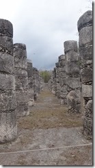 DSC00987