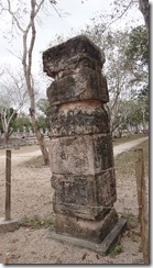 DSC00990