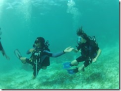 GOPR2011