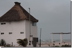 IMG_1909
