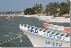 IMG_1940